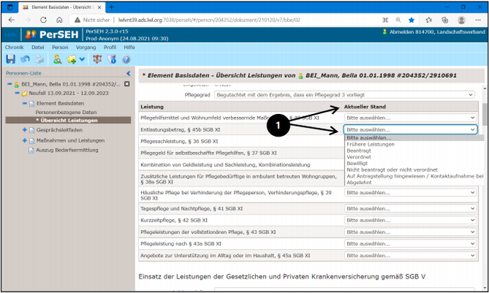 Screenshot der Seite "Übersicht Leistungen" im Bogen Element Basisdaten in PerSEH